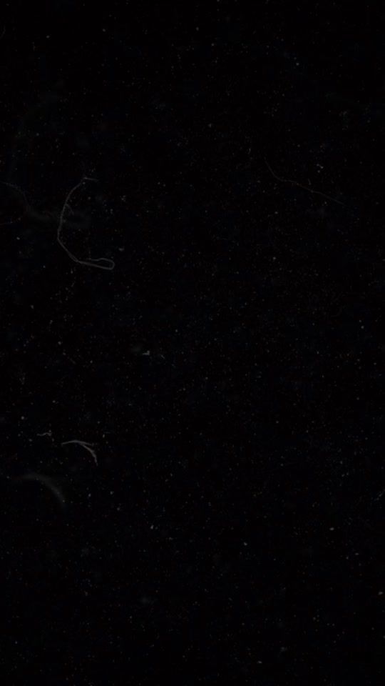 TikTok video thumbnail by ionelaroman18