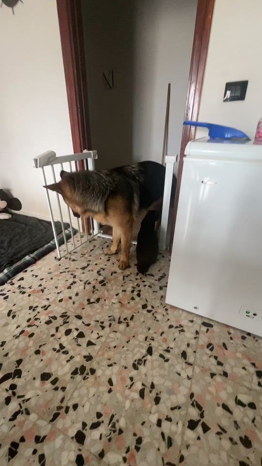 TikTok video thumbnail by savinoroberta80.72