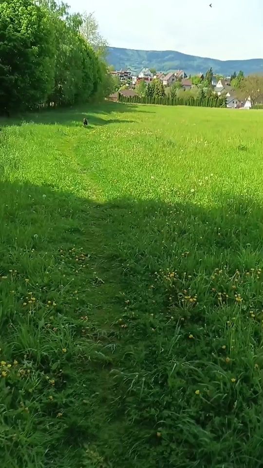 TikTok video thumbnail by franta72