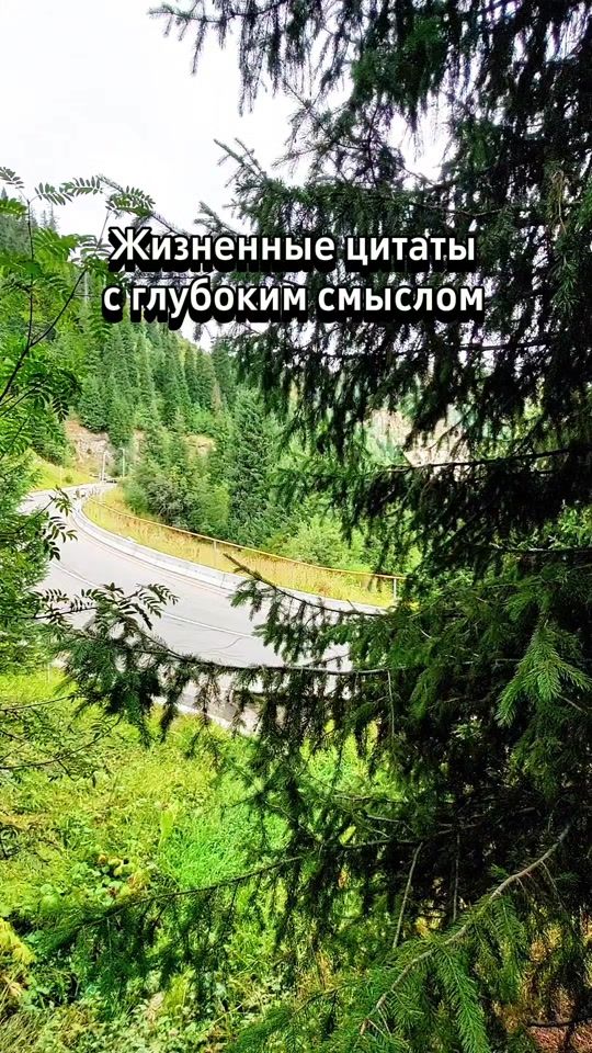 TikTok video thumbnail by mstanyakaz