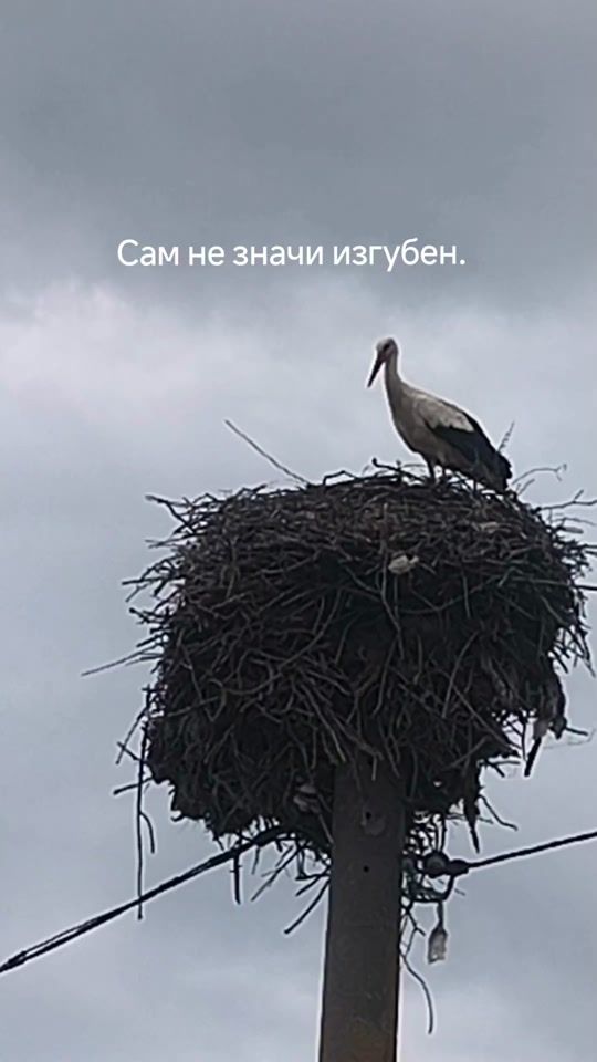 TikTok video thumbnail by desislava_shishmanova