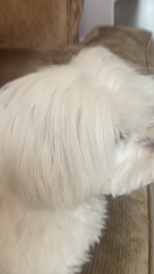 TikTok video thumbnail by iamprincess2014