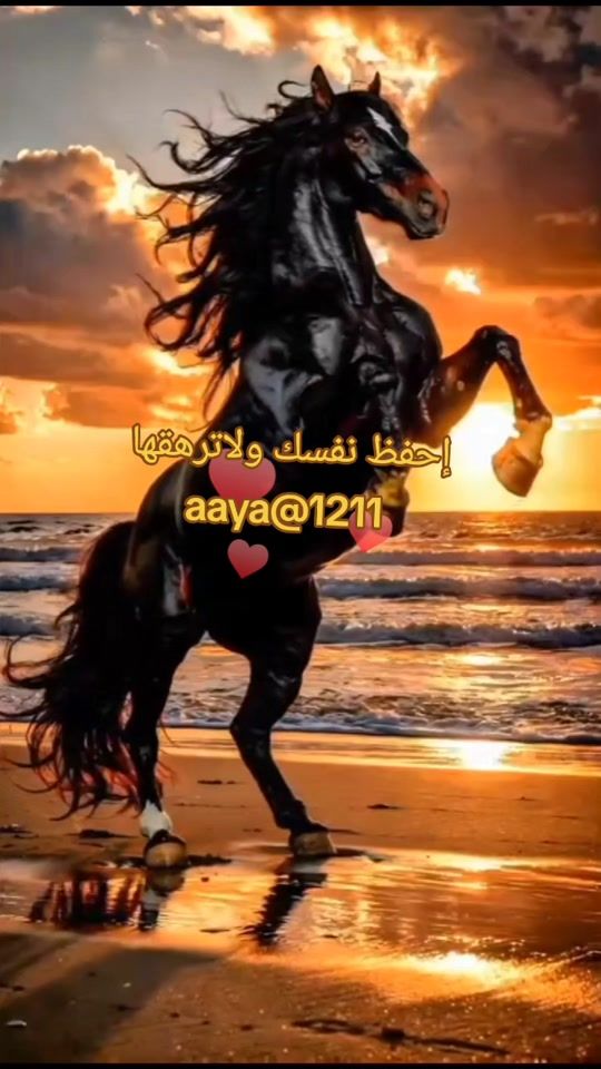 TikTok video thumbnail by aya1211_