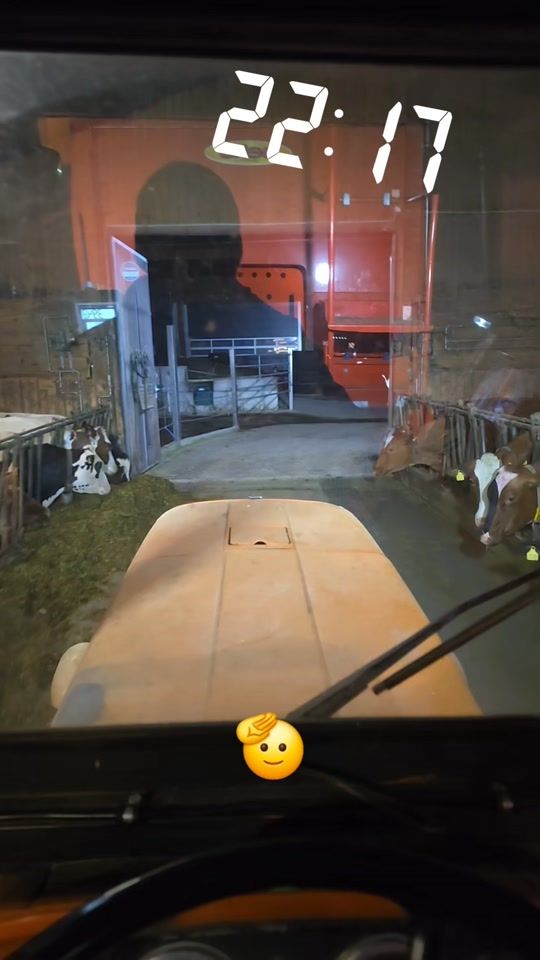 TikTok video thumbnail by fischerrafi