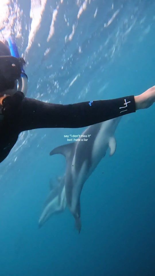 TikTok video thumbnail by mitthjaerta