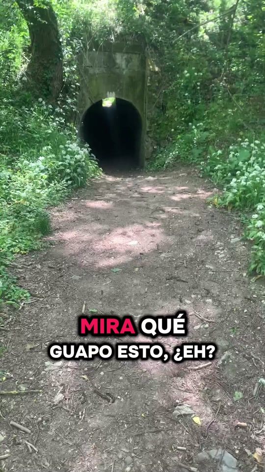 TikTok video thumbnail by davexplora