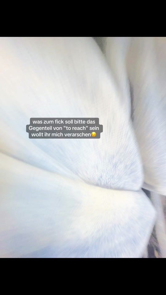 TikTok video thumbnail by adorecox
