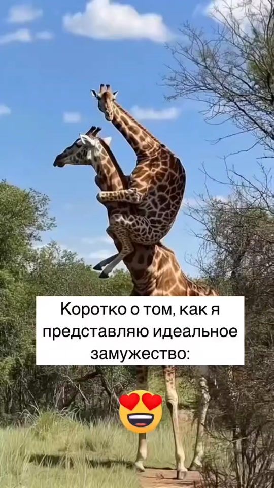 TikTok video thumbnail by tictoc.85