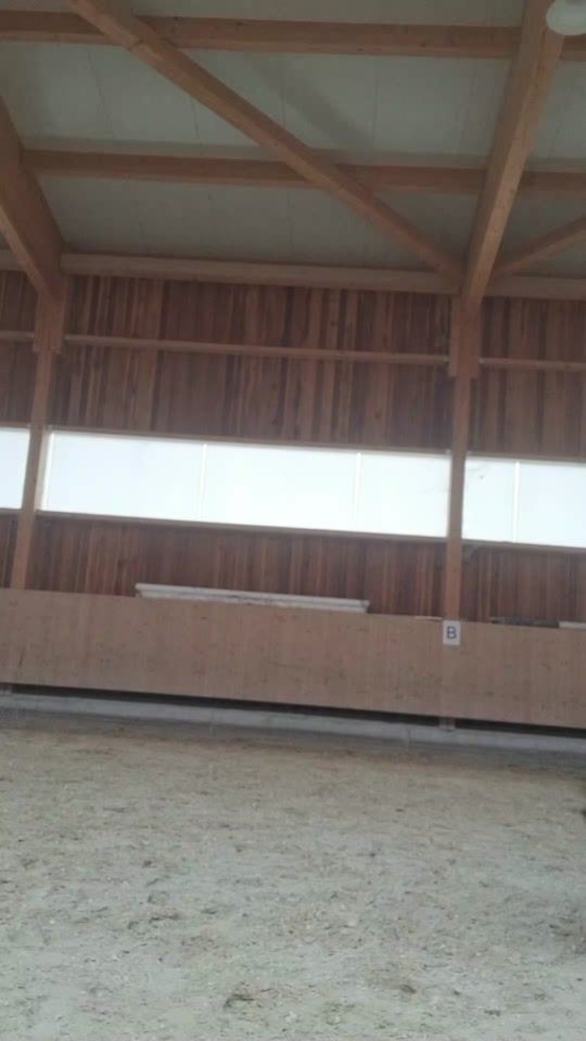 TikTok video thumbnail by tg.friesians