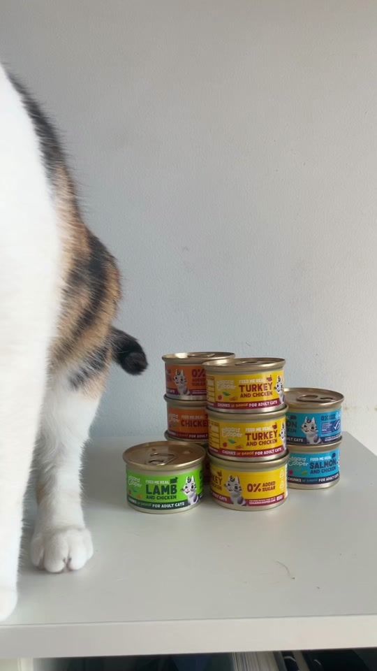 TikTok video thumbnail by cat.alekai