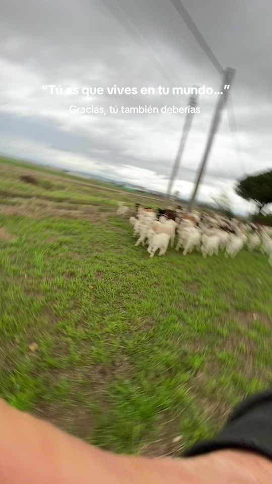 TikTok video thumbnail by josebustos_24