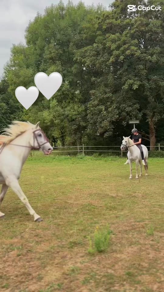 TikTok video thumbnail by equestrian_.jojo