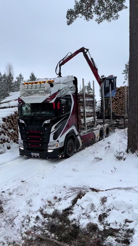 TikTok video thumbnail by nybergeliass