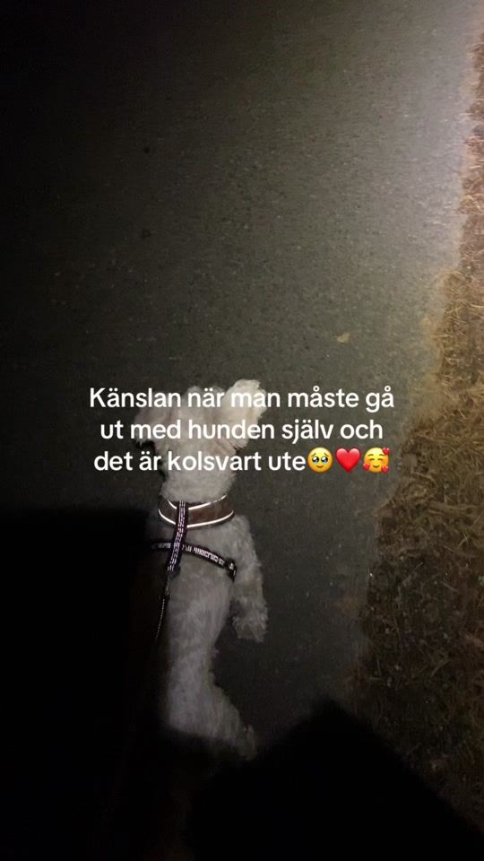 TikTok video thumbnail by savannah11aa