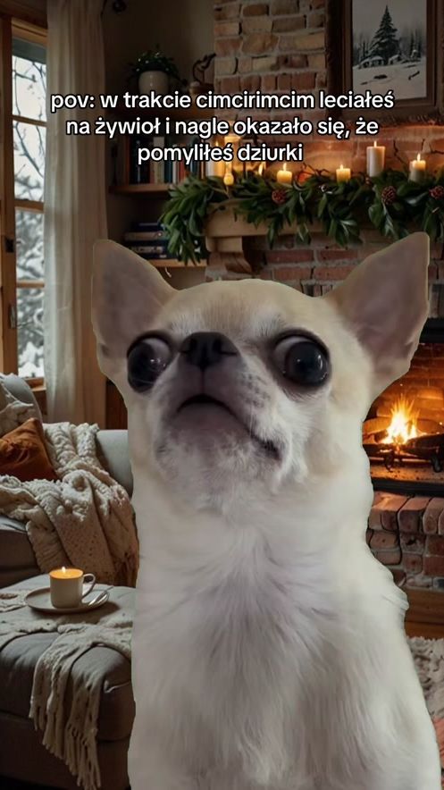 TikTok video thumbnail by karolina.prawda