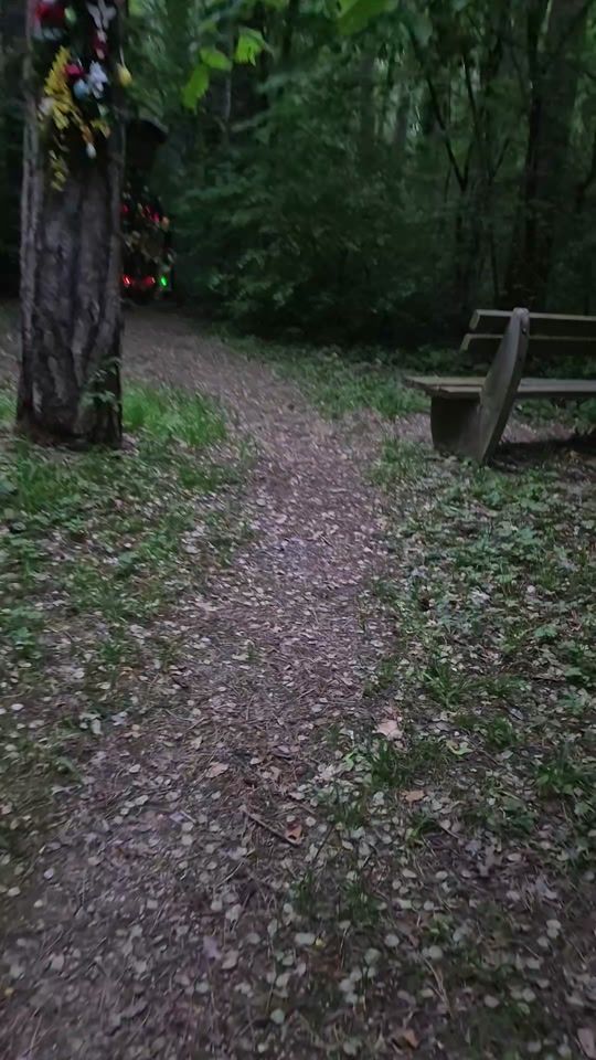 TikTok video thumbnail by lydia.reise