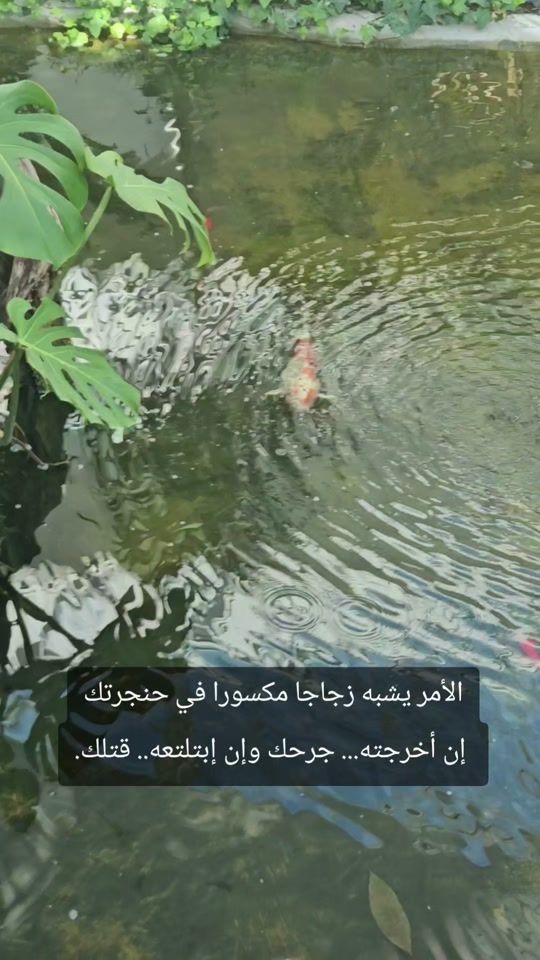 TikTok video thumbnail by sundusaj86