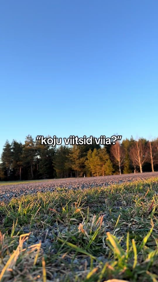TikTok video thumbnail by bendiislikas2