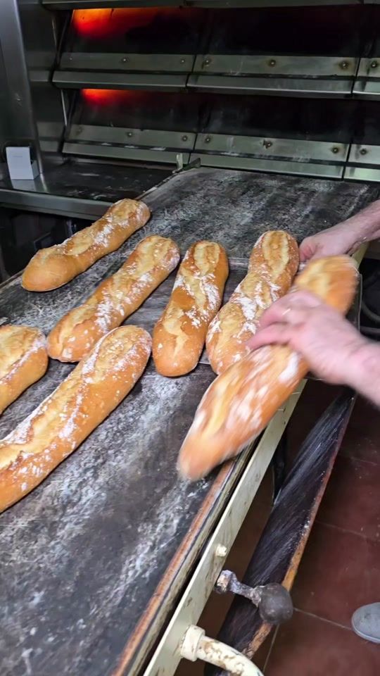 TikTok video thumbnail by larutadelsesmorzars