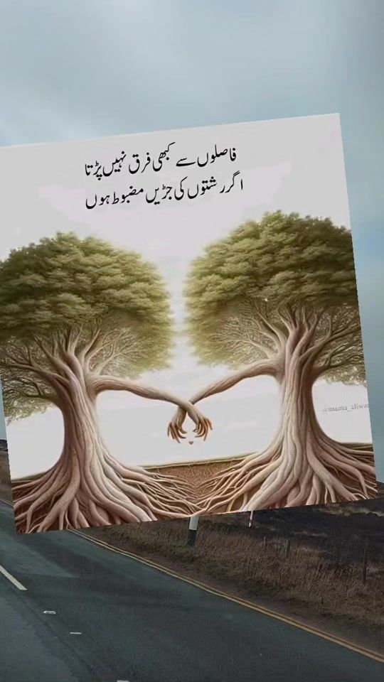 TikTok video thumbnail by heer_kashmiri_786