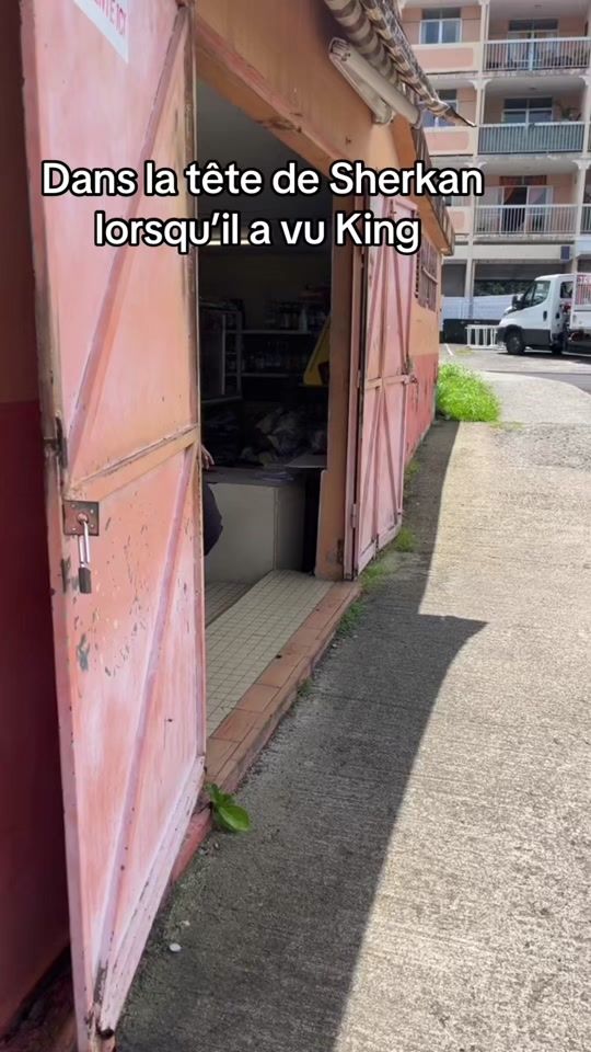 TikTok video thumbnail by shimine2