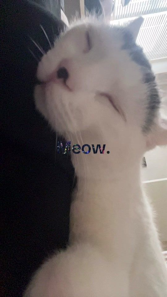 TikTok video thumbnail by falling4vic