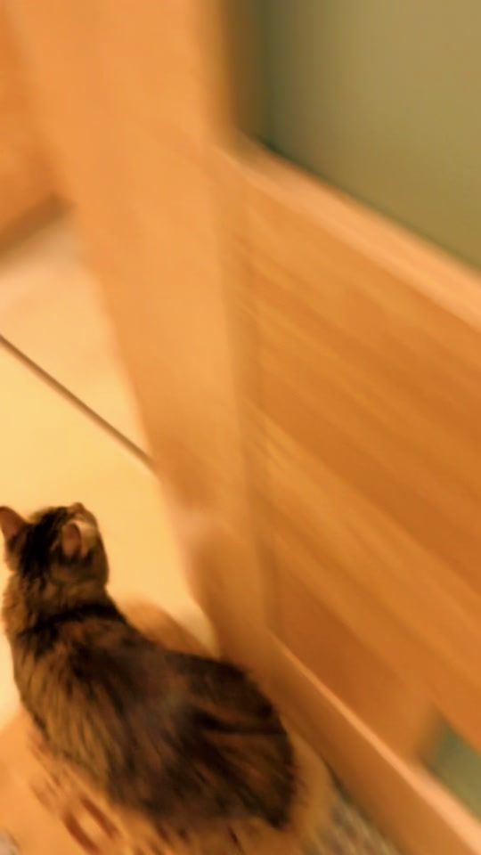 TikTok video thumbnail by mitzusfabu