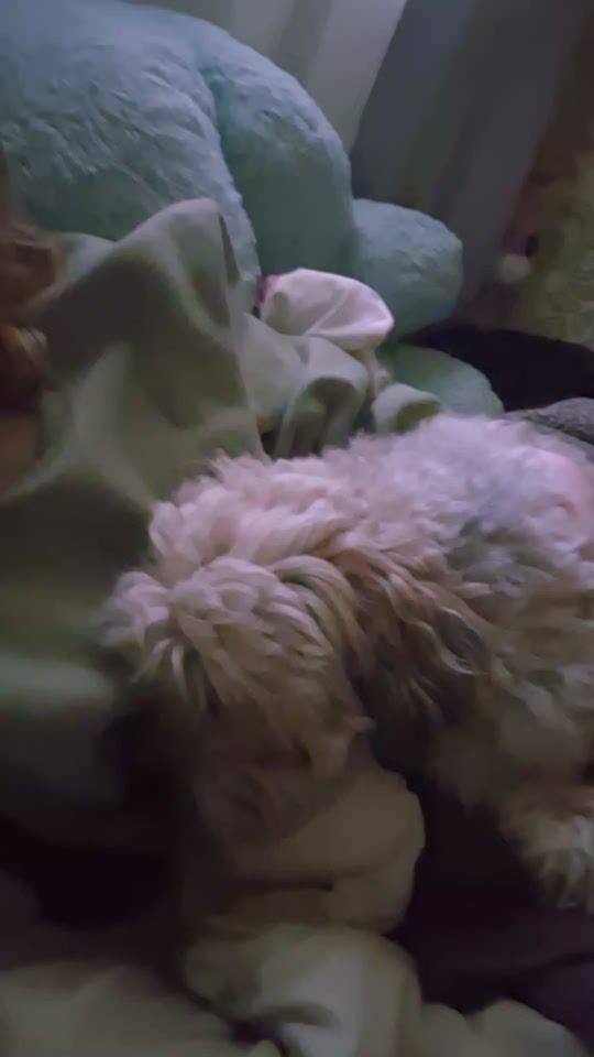 TikTok video thumbnail by foxyliya8