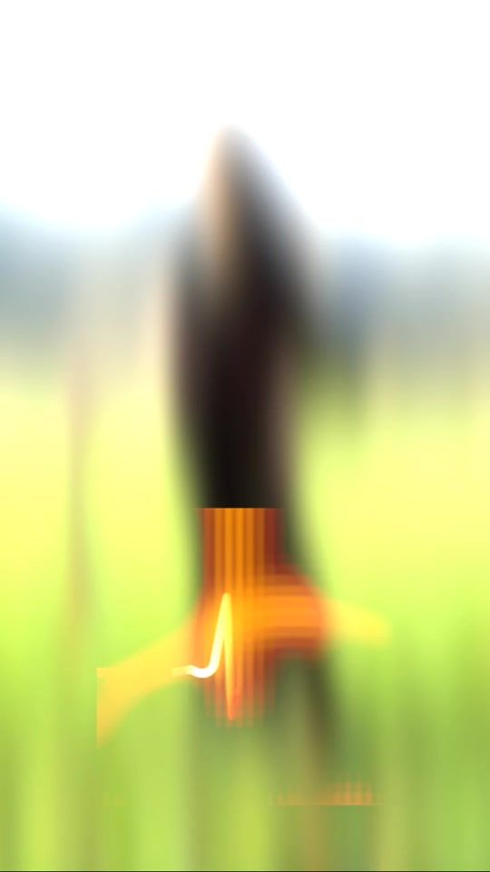 TikTok video thumbnail by chawiworld