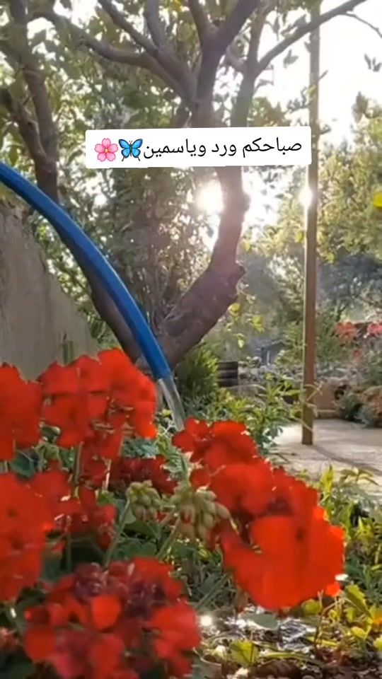 TikTok video thumbnail by bitatwjd0o4