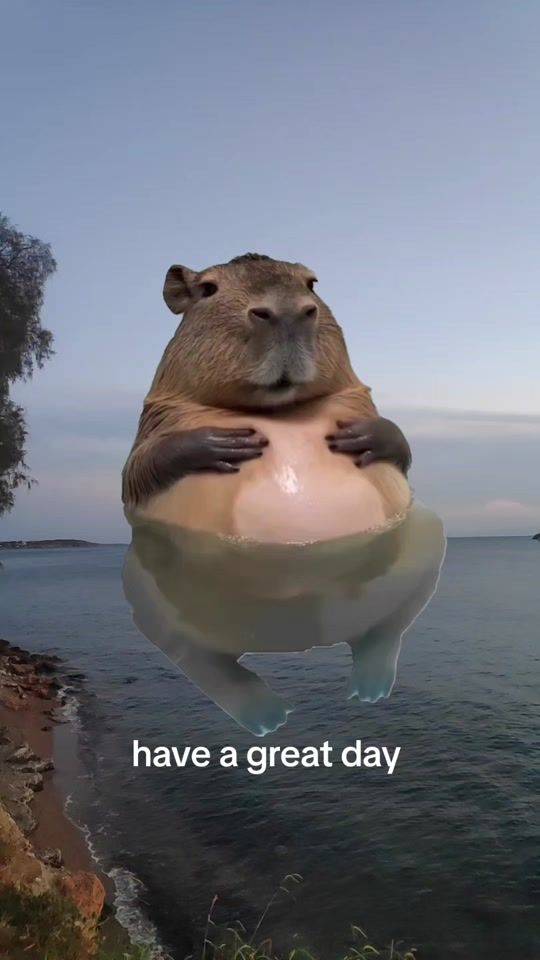 TikTok video thumbnail by tanna.t7