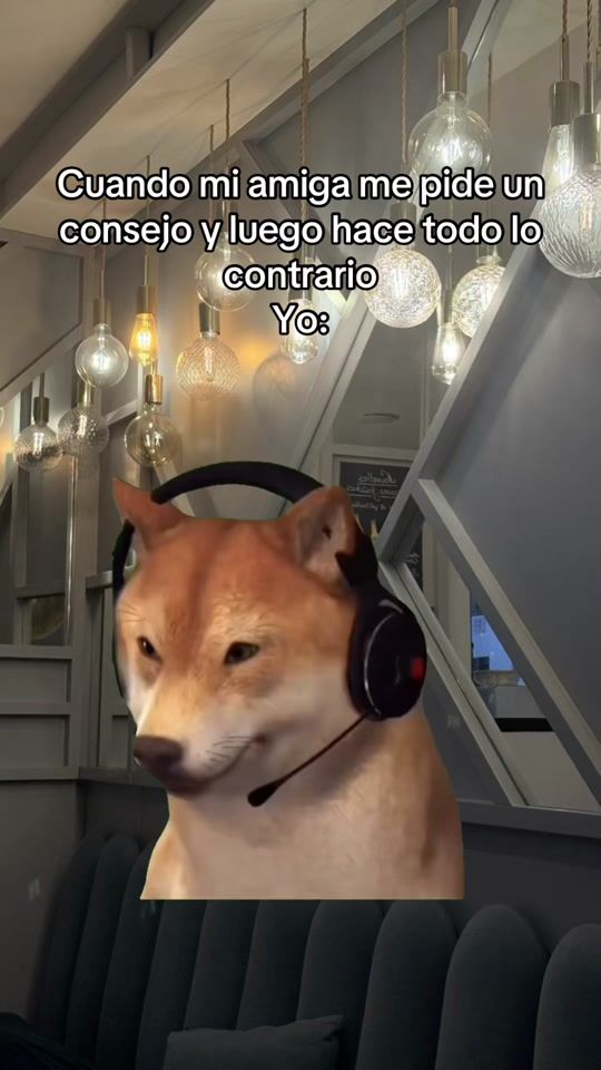 TikTok video thumbnail by vickygonzalez06
