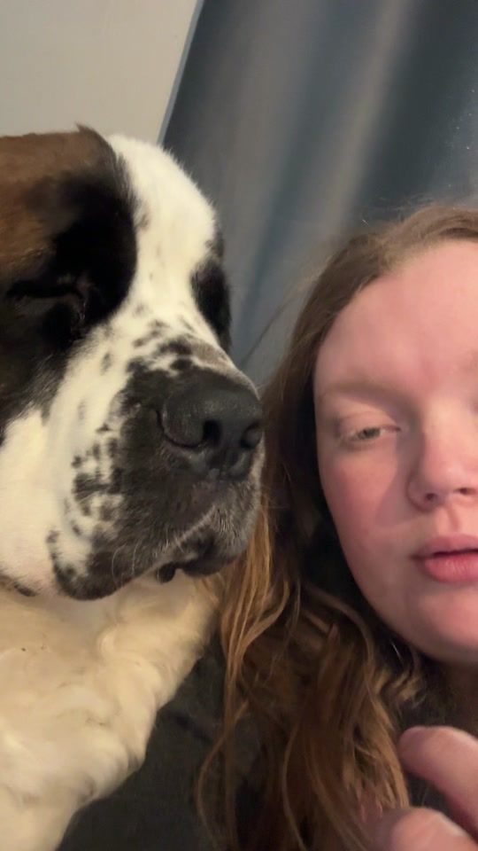 TikTok video thumbnail by barneyandbella