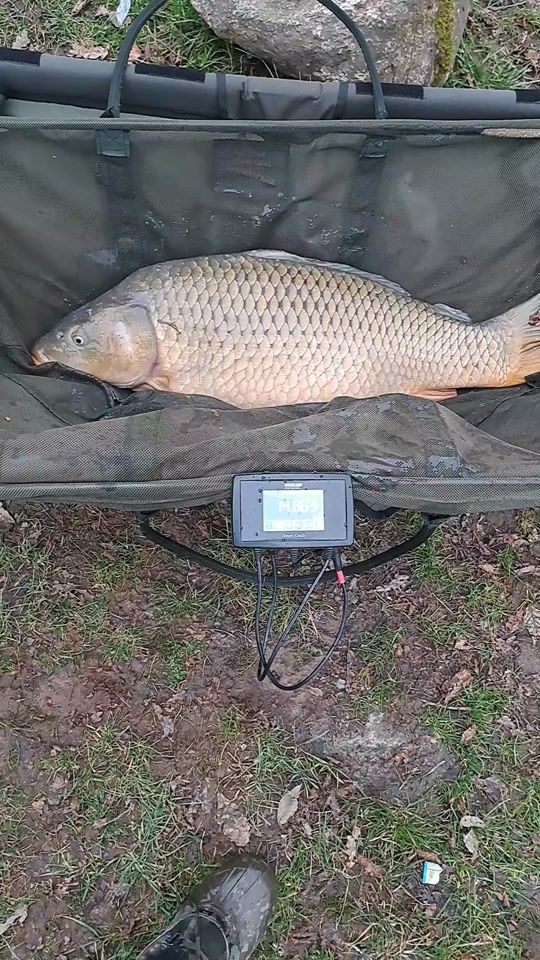 TikTok video thumbnail by thegroot70