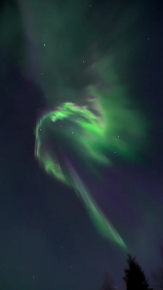 TikTok video thumbnail by aurorahunting