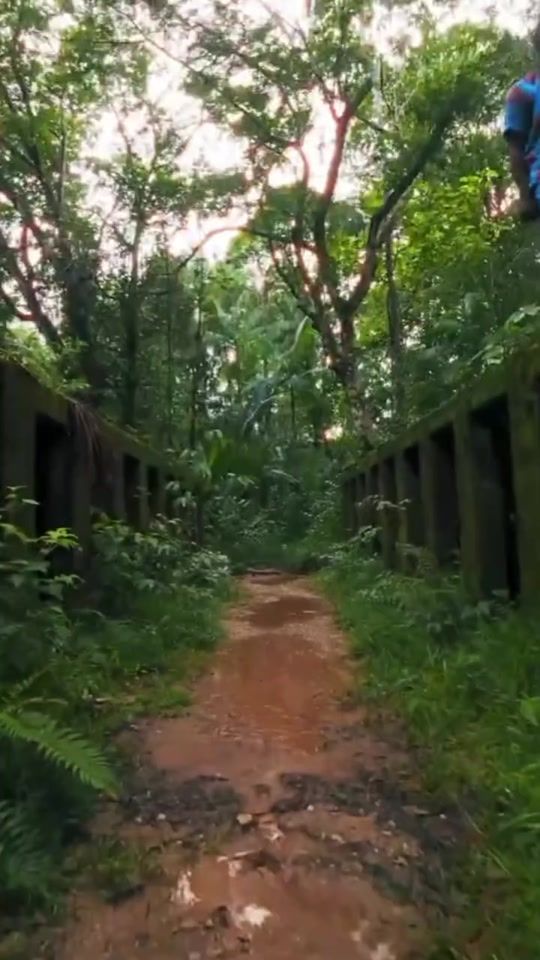 TikTok video thumbnail by lyrics.edit_973
