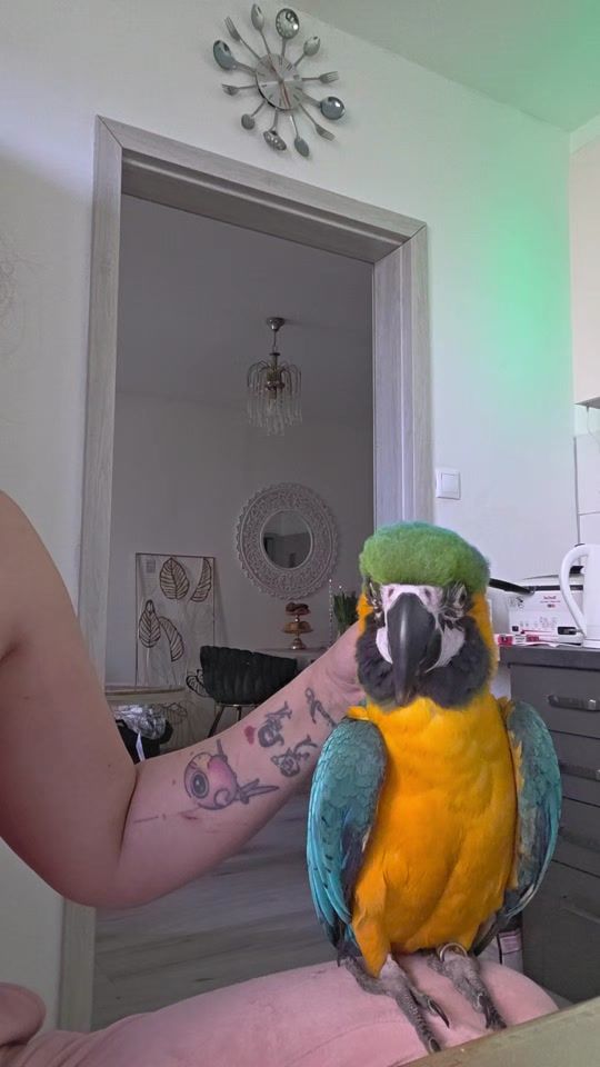 TikTok video thumbnail by matyi187