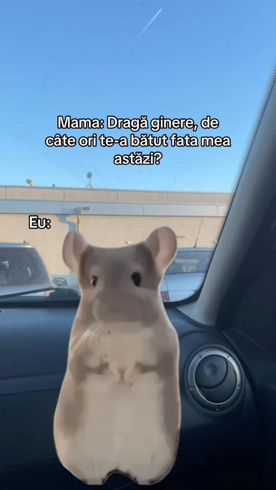 TikTok video thumbnail by mirunaolteanu7