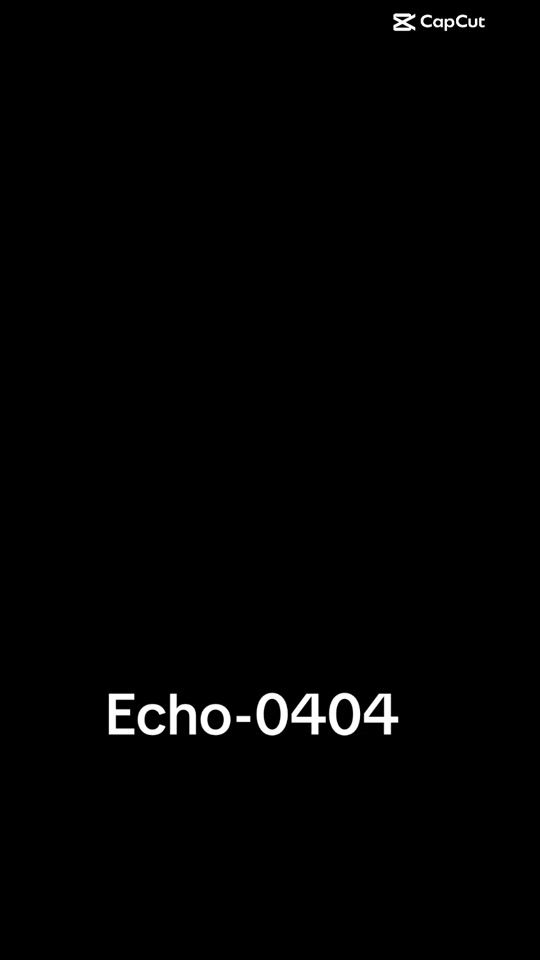 TikTok video thumbnail by echo04041