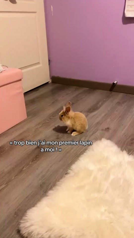 TikTok video thumbnail by .daikolapinou