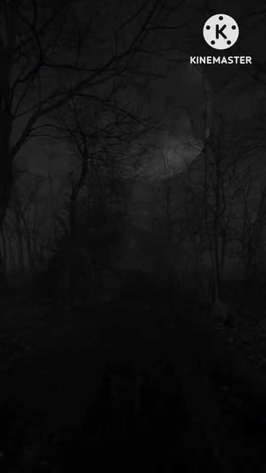 TikTok video thumbnail by panda_zonee