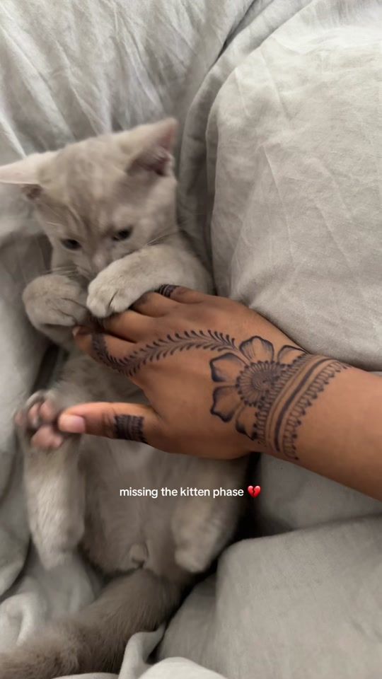 TikTok video thumbnail by aishaxahmada