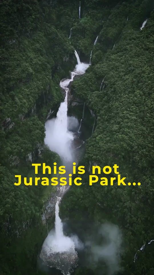 TikTok video thumbnail by tintincav