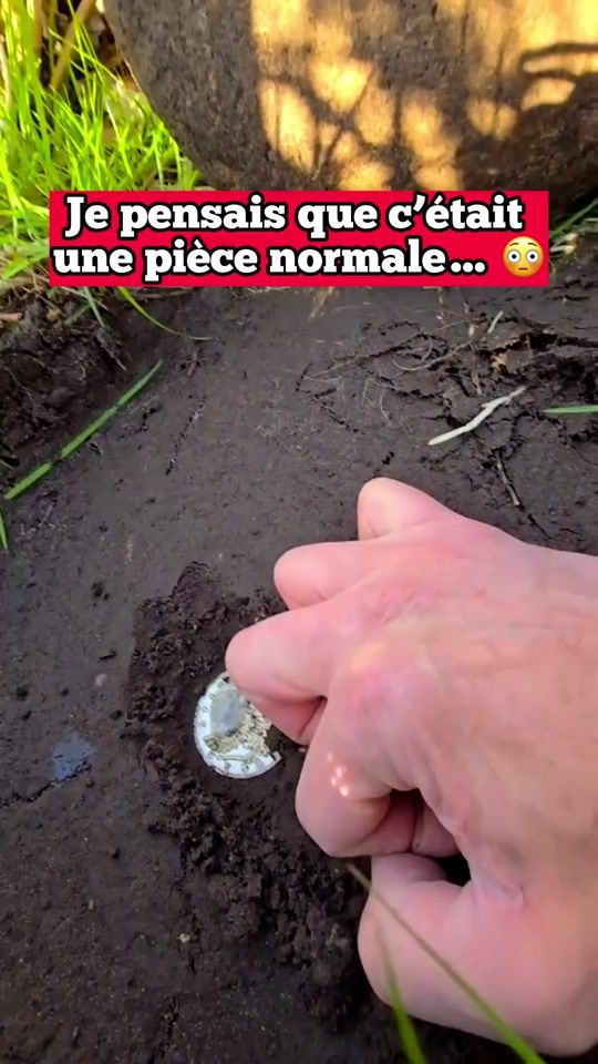 TikTok video thumbnail by personne_te_dit