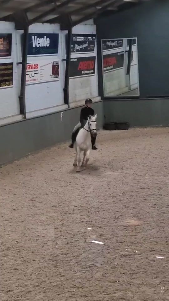TikTok video thumbnail by dressage_indy
