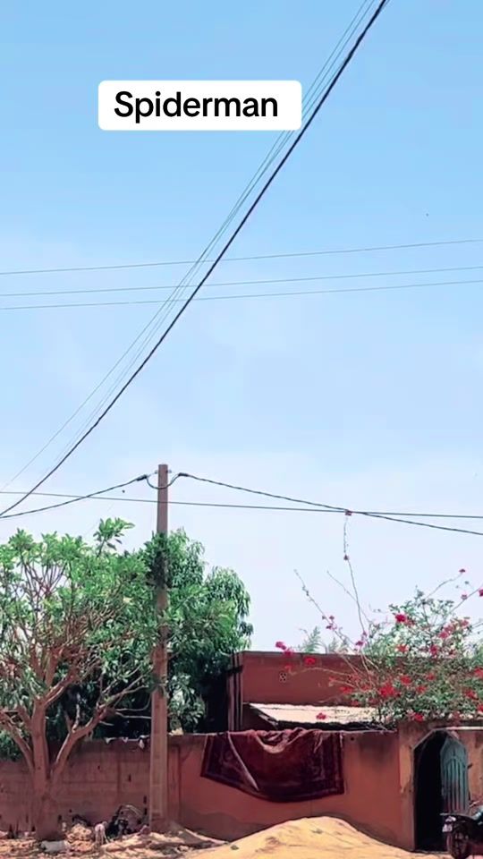 TikTok video thumbnail by logobo.officielno