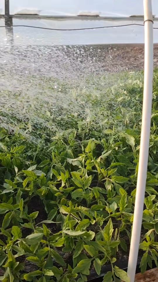 TikTok video thumbnail by relu..xs