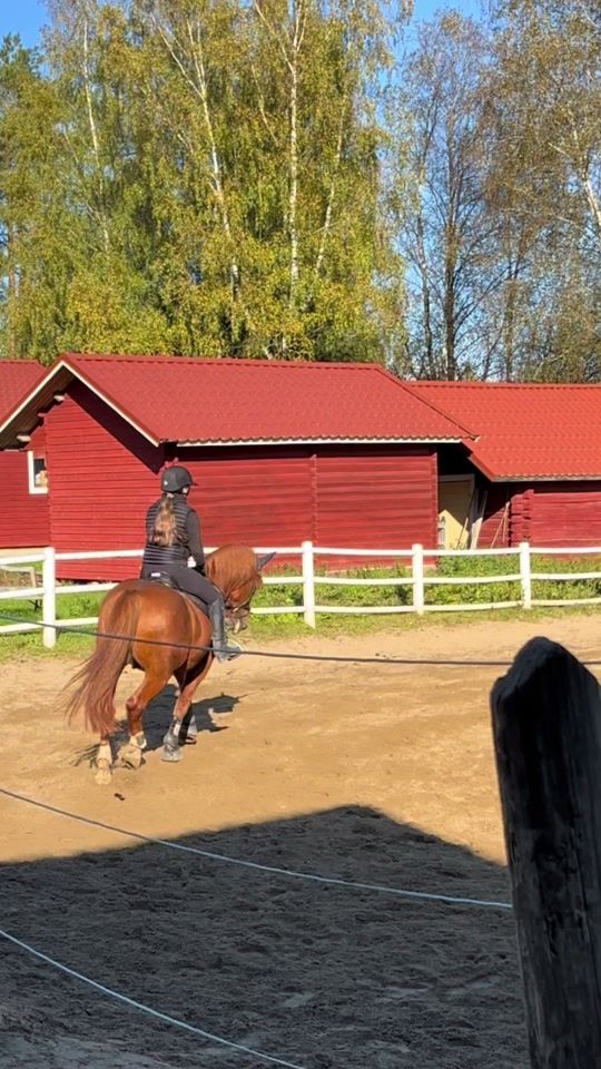 TikTok video thumbnail by mh_equestrian