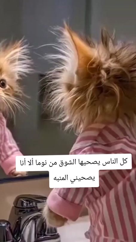 TikTok video thumbnail by 1za_ha2