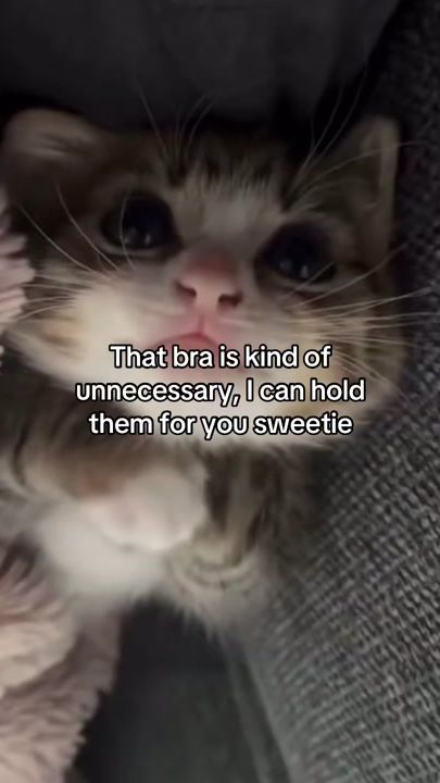 TikTok video thumbnail by alice.cattok